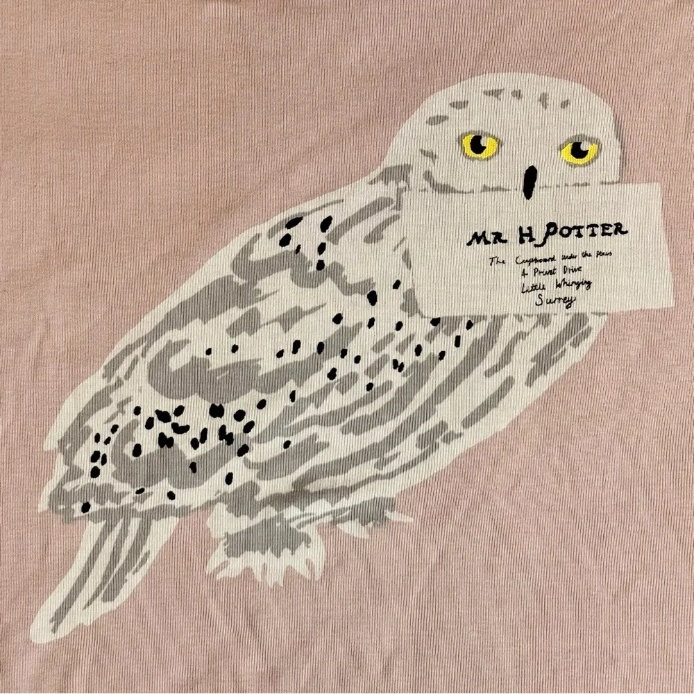 Mini Boden Harry Potter Pajama Set Girls 10 Y Hedwig Owls 2-Piece Cotton Spring